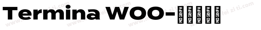 Termina W00字体转换